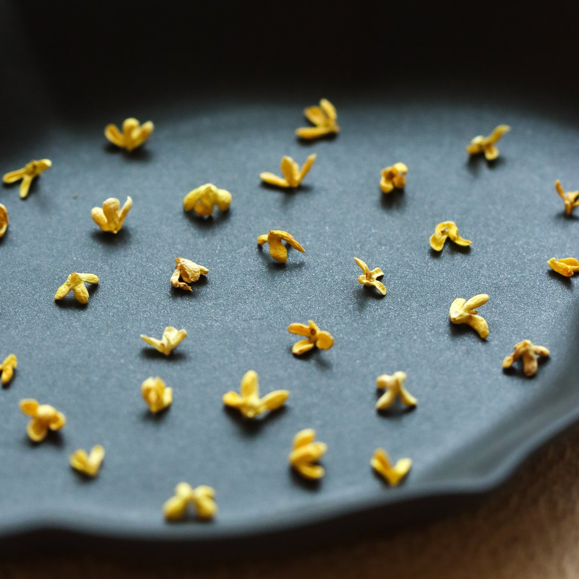 Golden Cherry Osmanthus Tea *Limited Edition* - Chachalate
