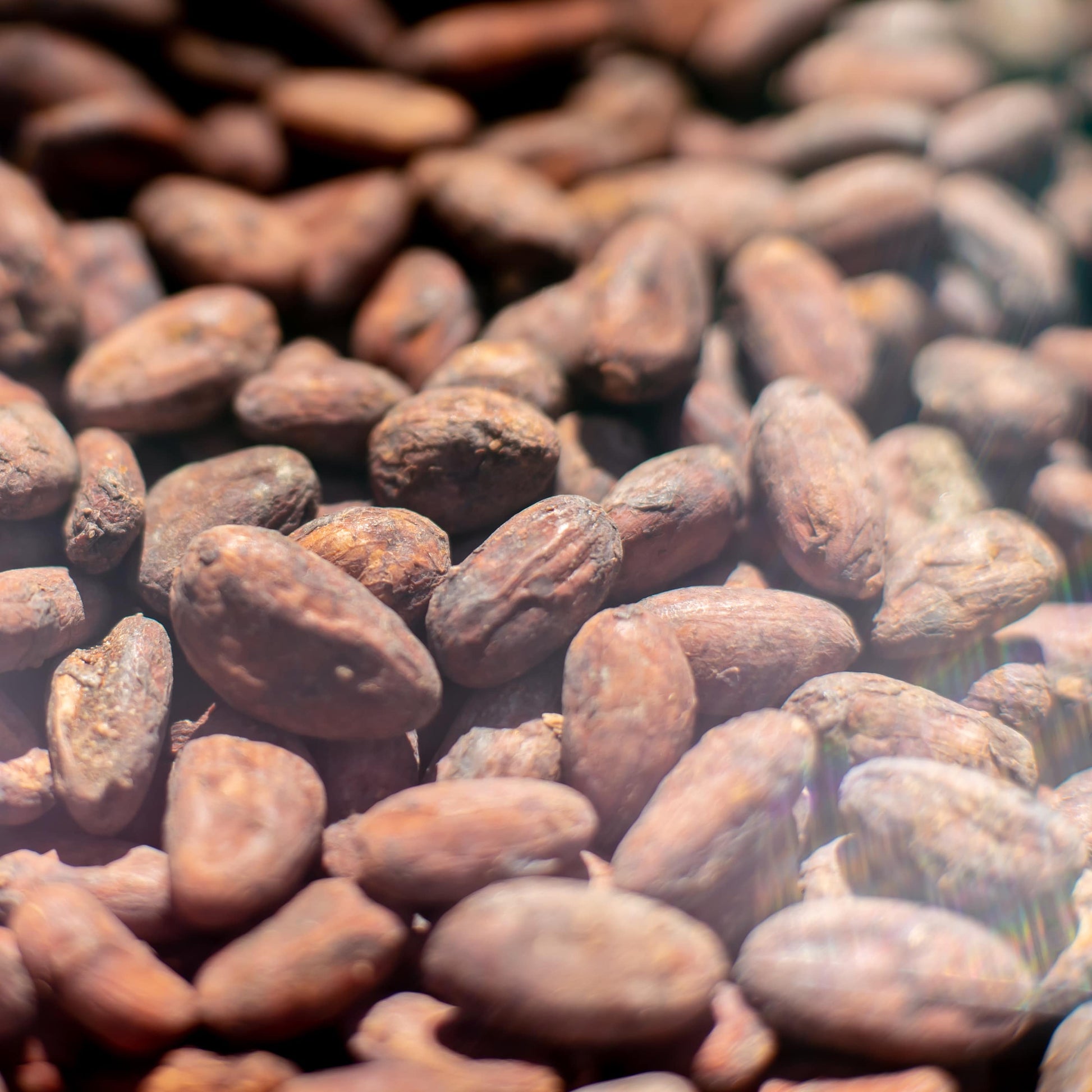 Virtual Chocolate Tasting (Victoria University) Nov. 16 @ 7:30PM EST - chachalate